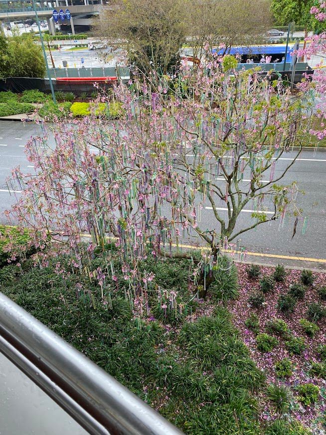 The Mardi Gras 'Bead Tree' At Universal's City Walk Is No More – 107.3 The  Eagle